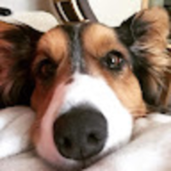 Meet your Posher, Rachael - Picture 1 of 1